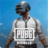 pubg正版手游