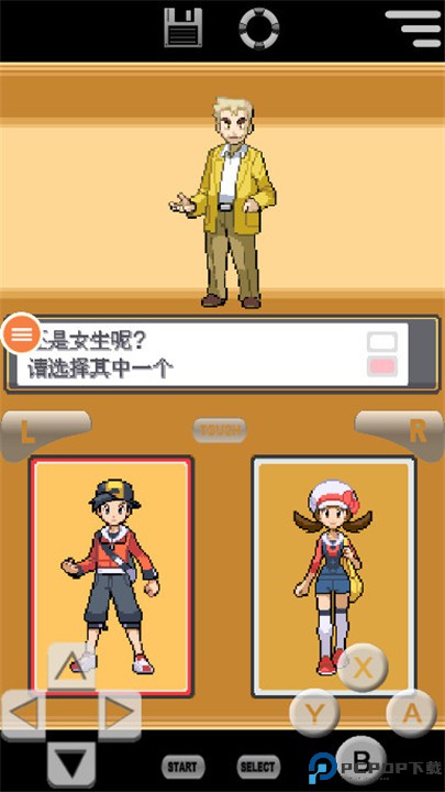 口袋妖怪心灵之金