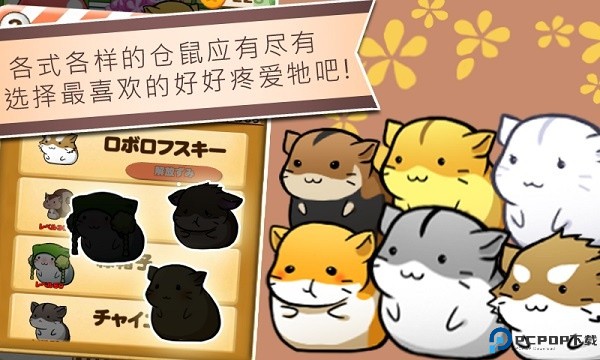 仓鼠的日常汉化版