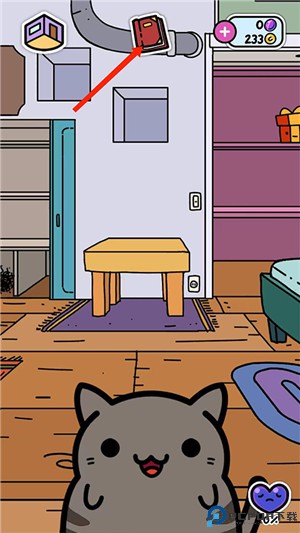 小偷猫