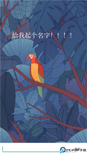 孤独的鸟儿