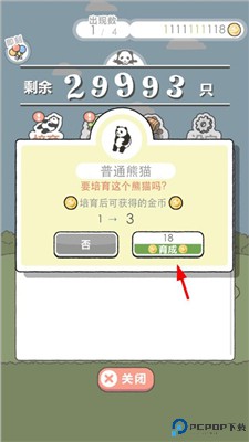 熊猫森林