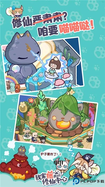 我家猫开的修仙中心