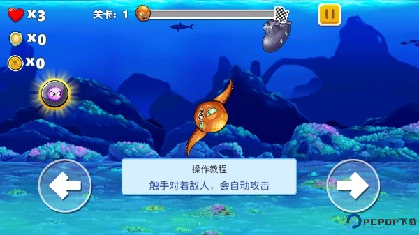 疯狂章鱼