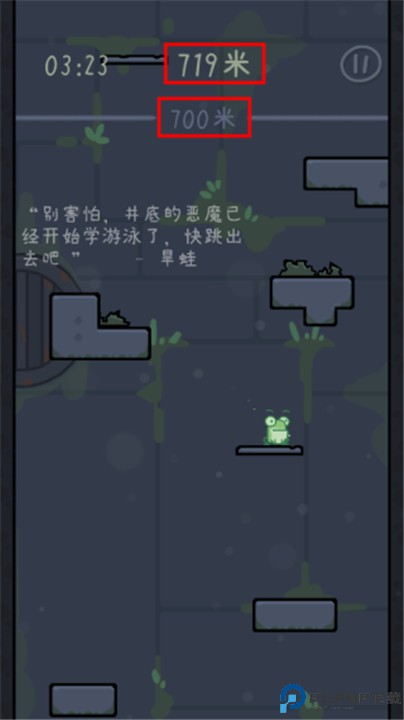 深井蛙