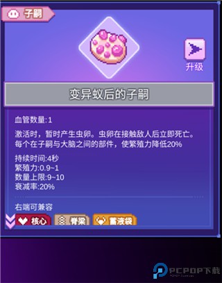 生物原型
