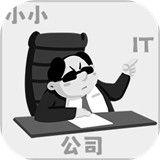 小小IT公司