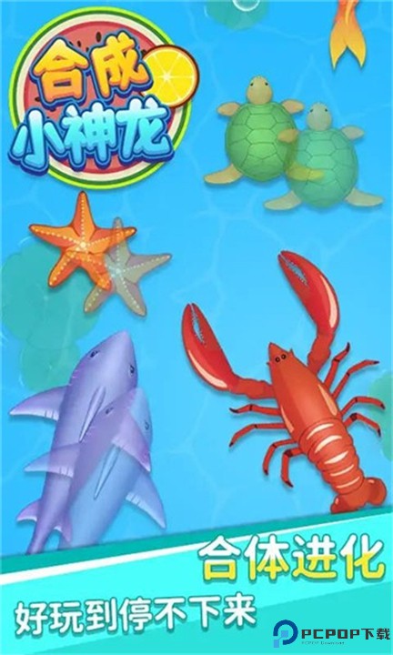 合成小神龙万宁版