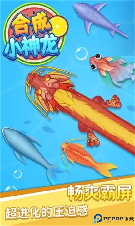 合成小神龙万宁版