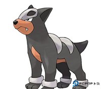 口袋觉醒安卓版