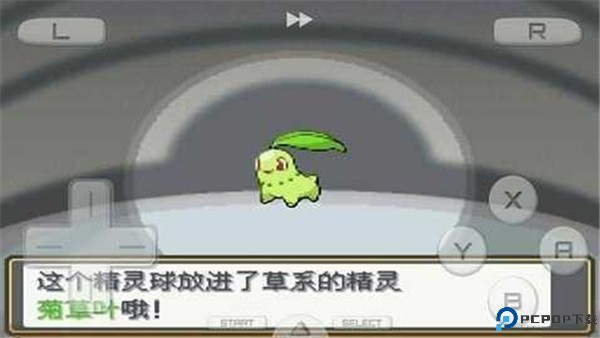 口袋妖怪心灵之金