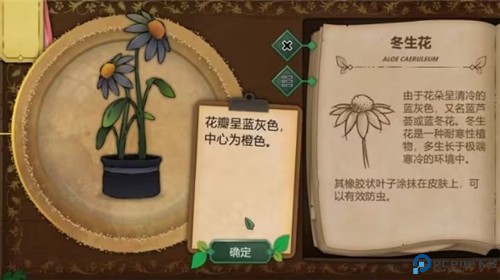 奇异园艺