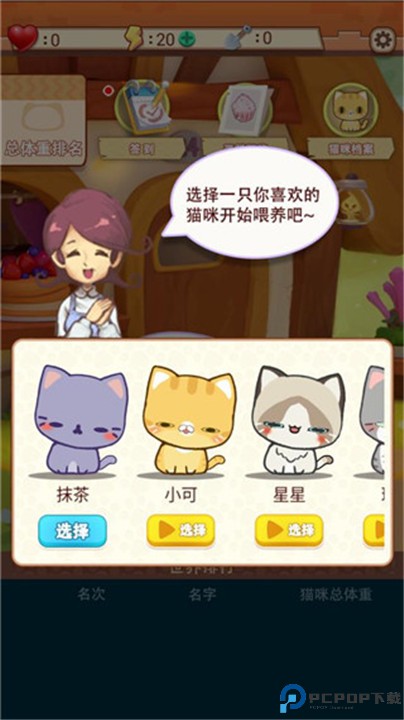养只大肥猫
