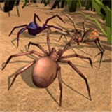 蜘蛛模拟生存游戏