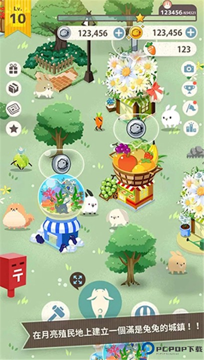 兔子真是太可爱了