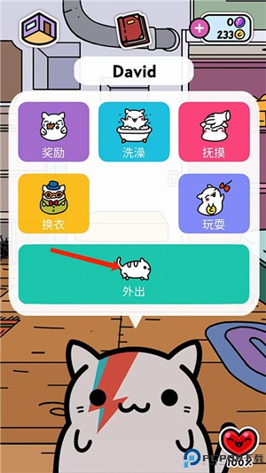 小偷猫