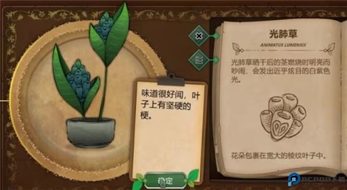 奇异园艺