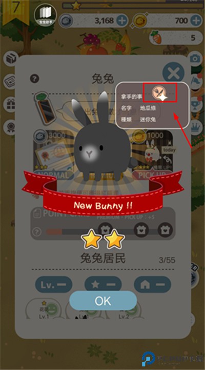 兔子真是太可爱了