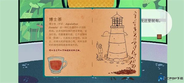 茶杯物语