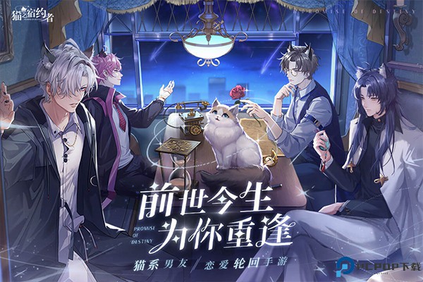 猫之宿约者手游