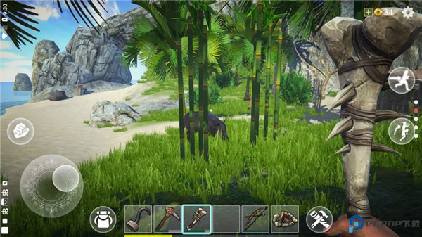 最后的海盗岛屿生存