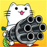 单匹猫