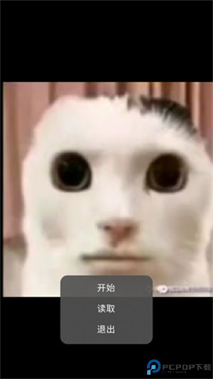猫猫惊魂手游