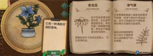 奇异园艺