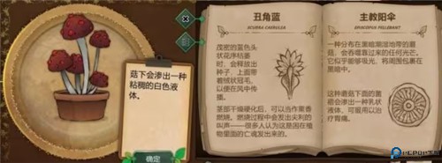 奇异园艺