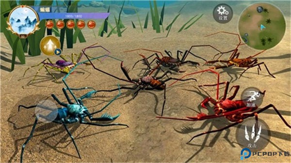 蜘蛛模拟生存游戏