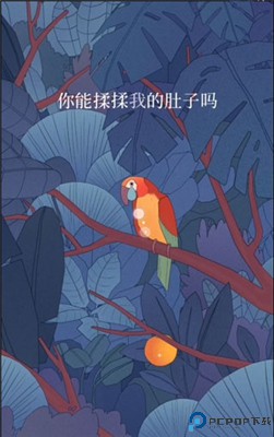 孤独的鸟儿中文版