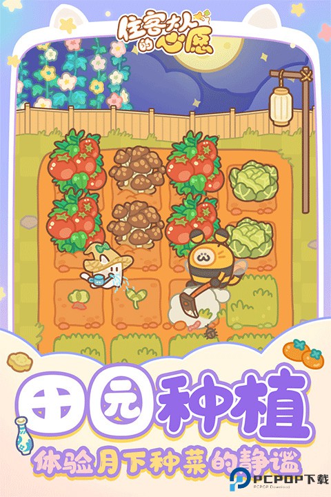 住客大人的心愿