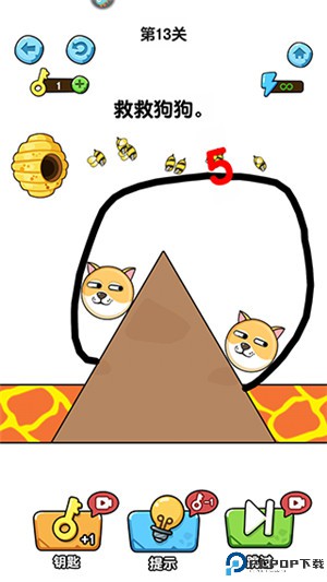 我的狗狗