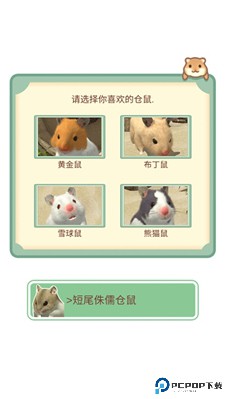 我的仓鼠