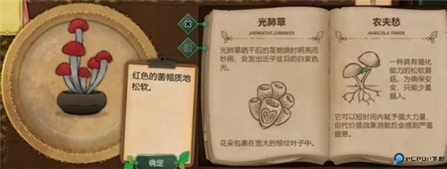 奇异园艺