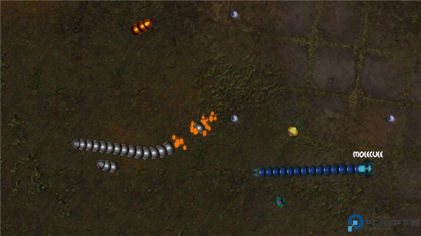 贪吃瑞拉手机版