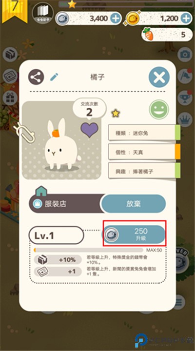 兔子真是太可爱了