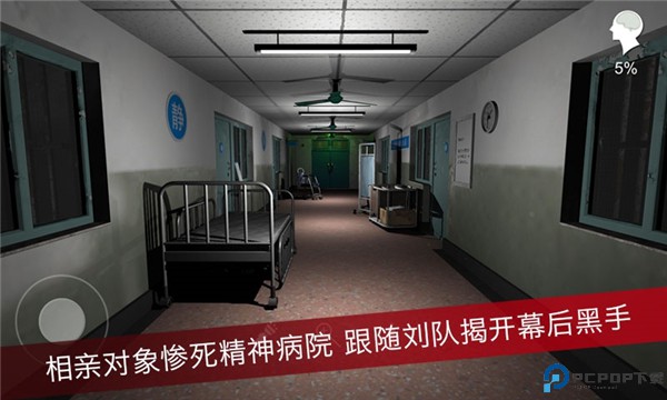 孙美琪疑案之方婷婷