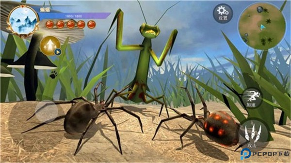 蜘蛛模拟生存游戏
