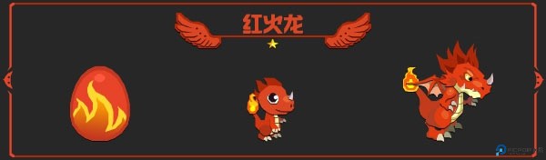 龙之契约