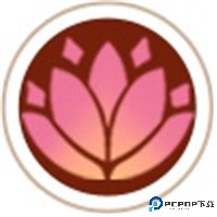 梦幻西游