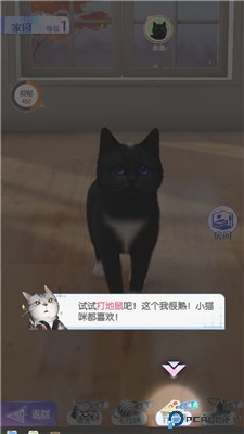 超喵星计划安卓版