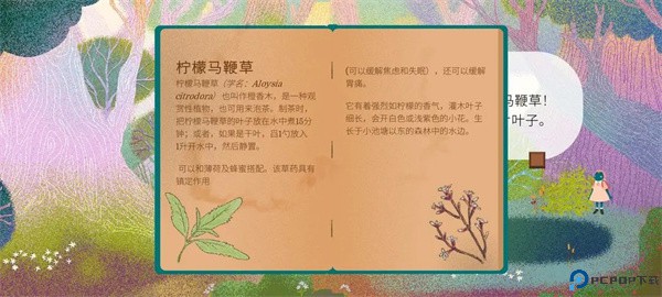茶杯物语