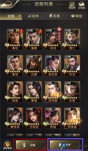乱世王者