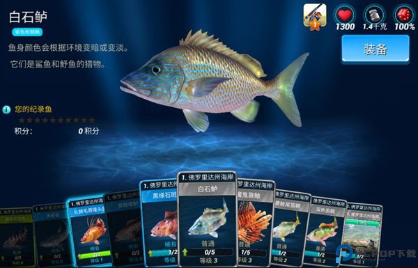 钓鱼大对决