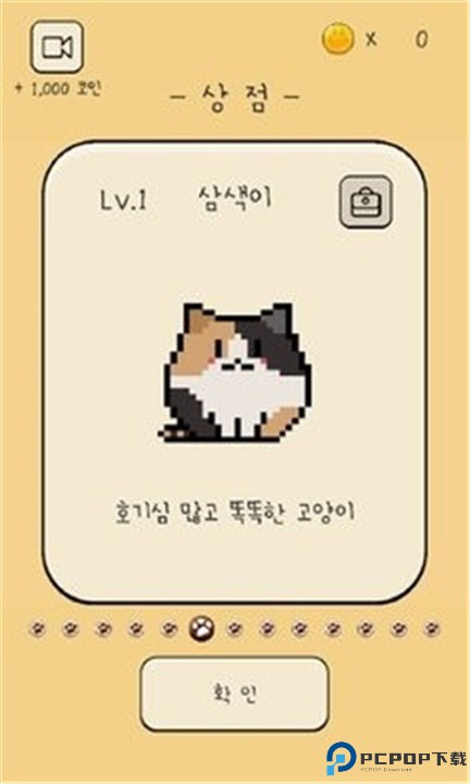 铲屎官给我吃的