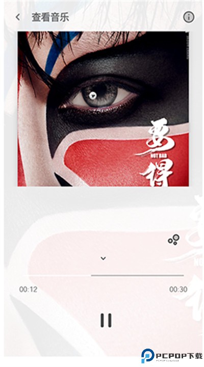 极乐音乐软件