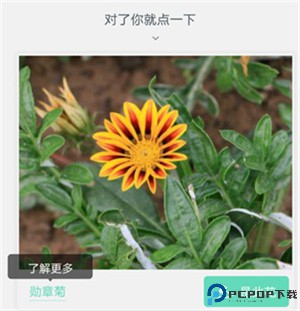 形色