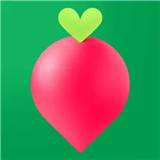 叮咚买菜安卓版