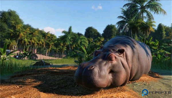 动物园之星手机版